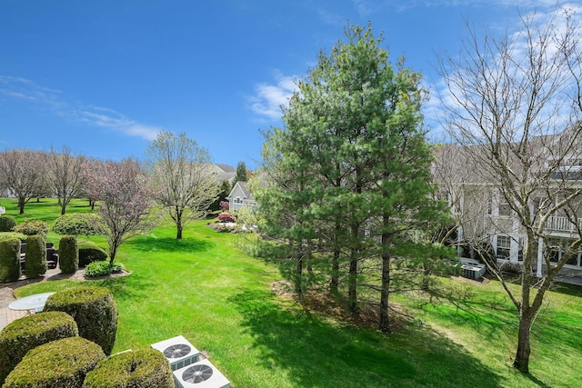 10 Symphony Dr, Lake Grove, NY 11755 - view of yard