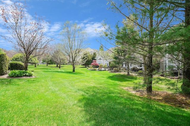 10 Symphony Dr, Lake Grove, NY 11755 - view of yard