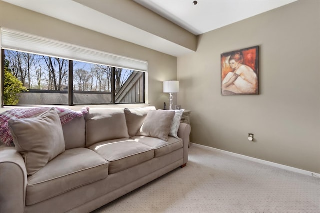 living area featuring baseboards and carpet flooring