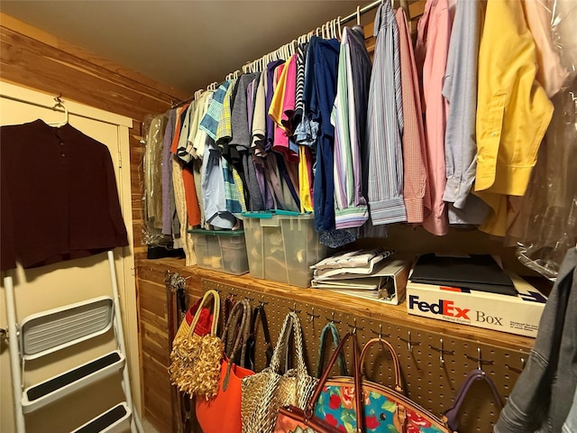 view of walk in closet