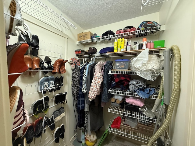 view of walk in closet