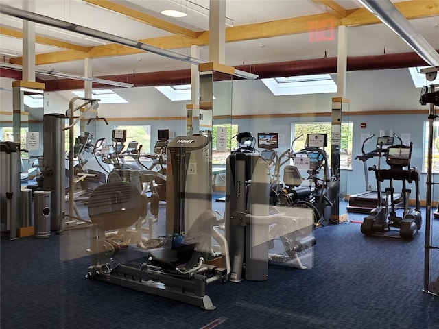 workout area featuring a skylight and carpet flooring