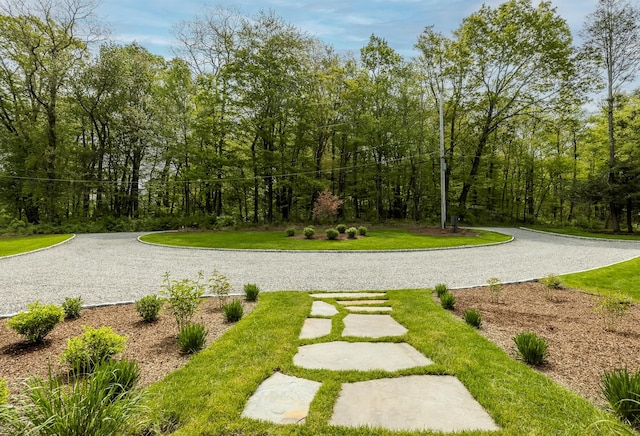 16 Anderson Rd, Pawling, NY 12564 - surrounding community featuring a yard