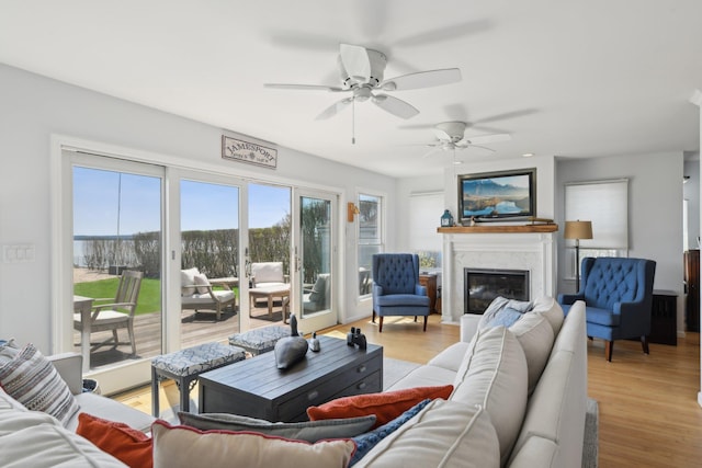 living room featuring a premium fireplace, ceiling fan, and light wood-type flooring