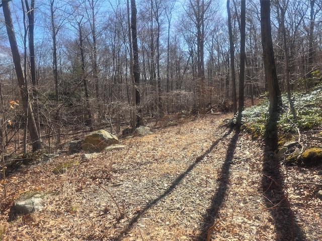 S Rd S, Holmes, NY 12531