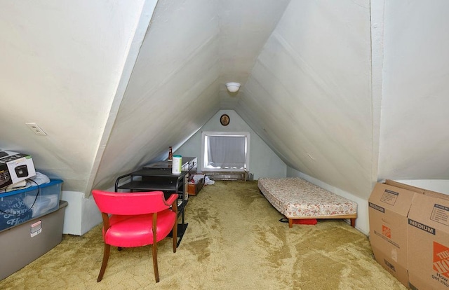 additional living space featuring vaulted ceiling and carpet floors