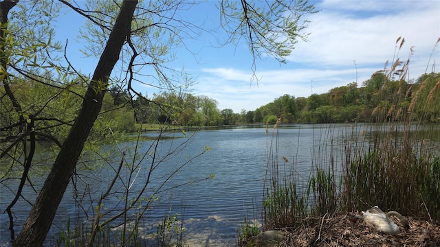 143-07 Rose Ave, Flushing, NY 11355 - water view with a heavily wooded area