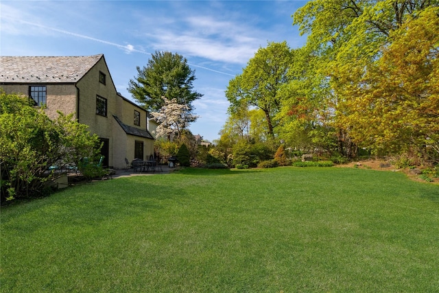 view of yard featuring a patio