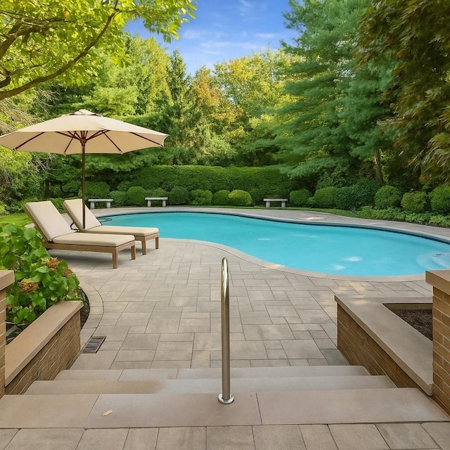 pool with a patio area