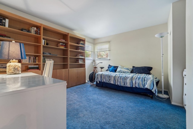 103 S Nauraushaun Rd, Pearl River, NY 10965 - view of carpeted bedroom