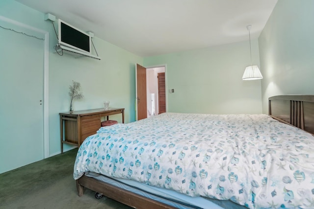 103 S Nauraushaun Rd, Pearl River, NY 10965 - bedroom featuring dark colored carpet