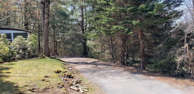 84 Elliott Rd, Glen Wild, NY 12738 - photo 5