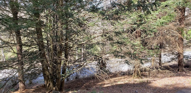 84 Elliott Rd, Glen Wild, NY 12738 - photo 8