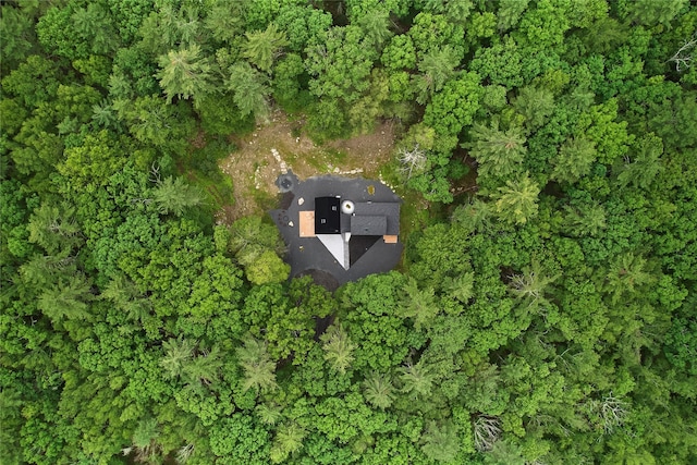 64 Hoyt Rd, Glen Spey, NY 12737 - aerial view of property's location