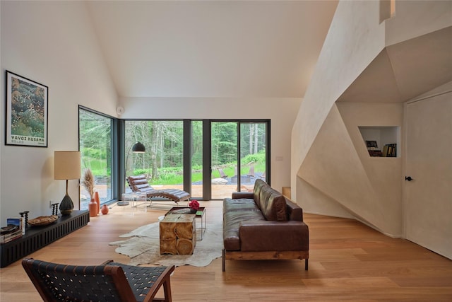 64 Hoyt Rd, Glen Spey, NY 12737 - living area featuring light wood-type flooring, high vaulted ceiling, and healthy amount of natural light