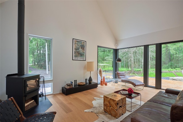 64 Hoyt Rd, Glen Spey, NY 12737 - living room featuring a wood stove, high vaulted ceiling, and wood finished floors