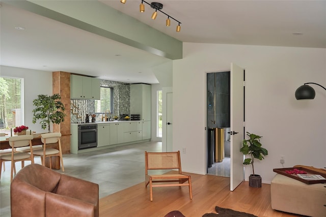 64 Hoyt Rd, Glen Spey, NY 12737 - living room featuring light wood-style flooring and lofted ceiling