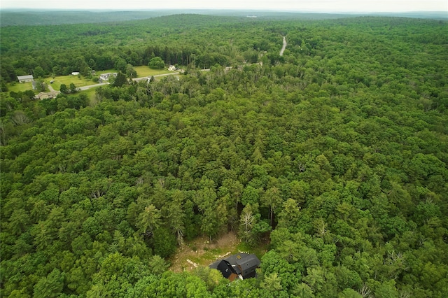 64 Hoyt Rd, Glen Spey, NY 12737 - aerial view of a forest