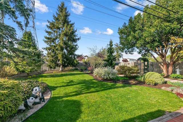 view of yard with a fenced backyard