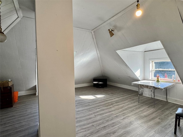 additional living space with wood walls, wood finished floors, vaulted ceiling, and baseboards