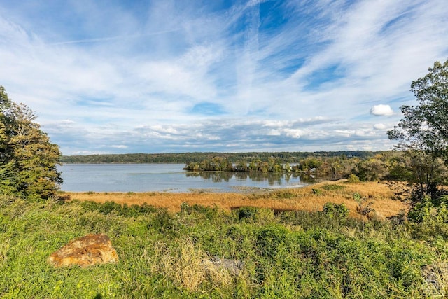 67 Latham Cir, Saugerties, NY 12477 - water view