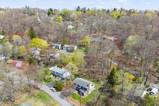 bird's eye view