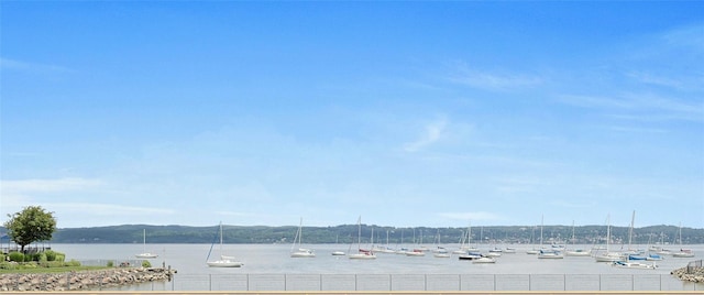 110 Gedney St, Nyack, NY 10960 - water view