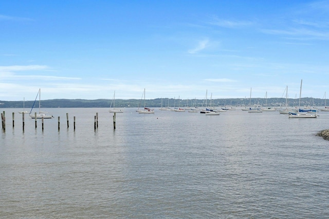 110 Gedney St, Nyack, NY 10960 - water view with a dock