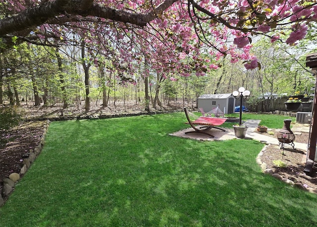 view of yard featuring an outdoor structure, a shed, central air condition unit, and fence