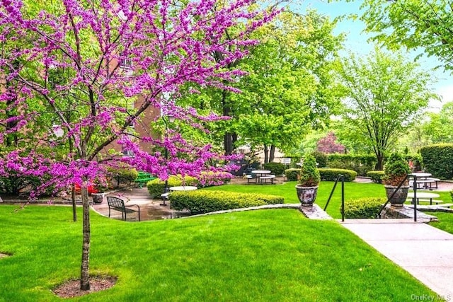 view of community featuring a lawn