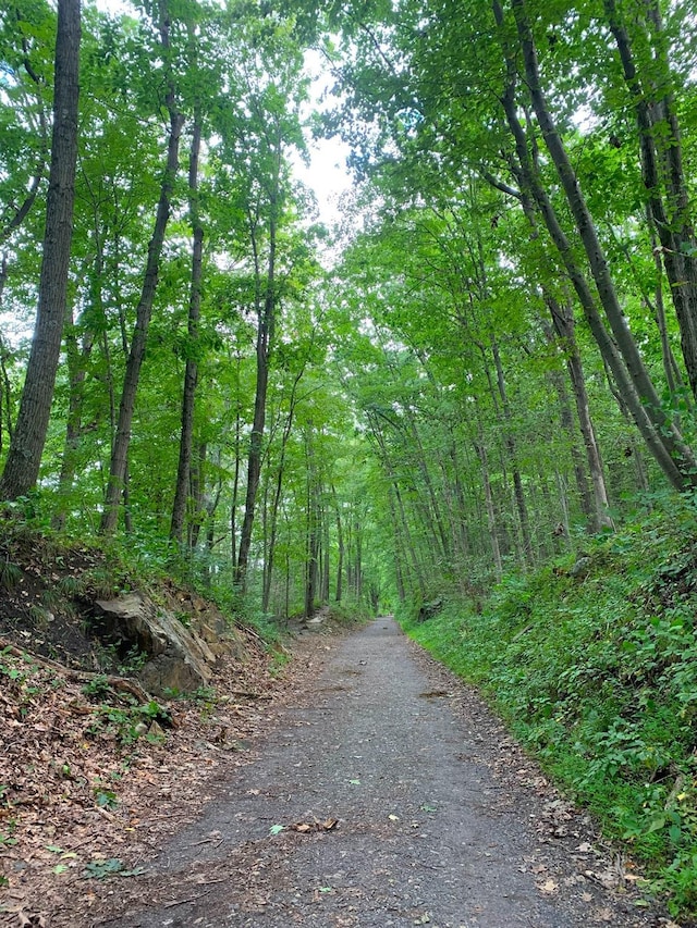 view of street with a view of trees