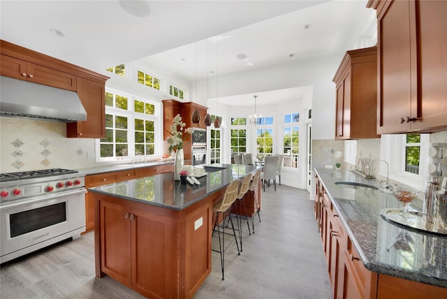 kitchen with under cabinet range hood, light wood finished floors, a sink, and luxury stove