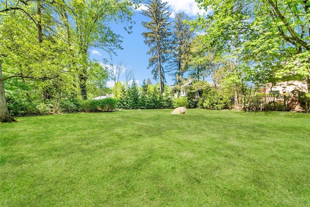 view of yard