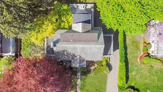 bird's eye view