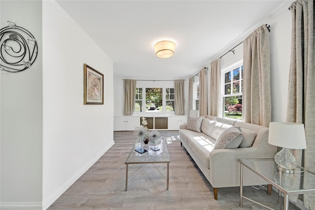 living room featuring baseboards, wood finished floors, and radiator
