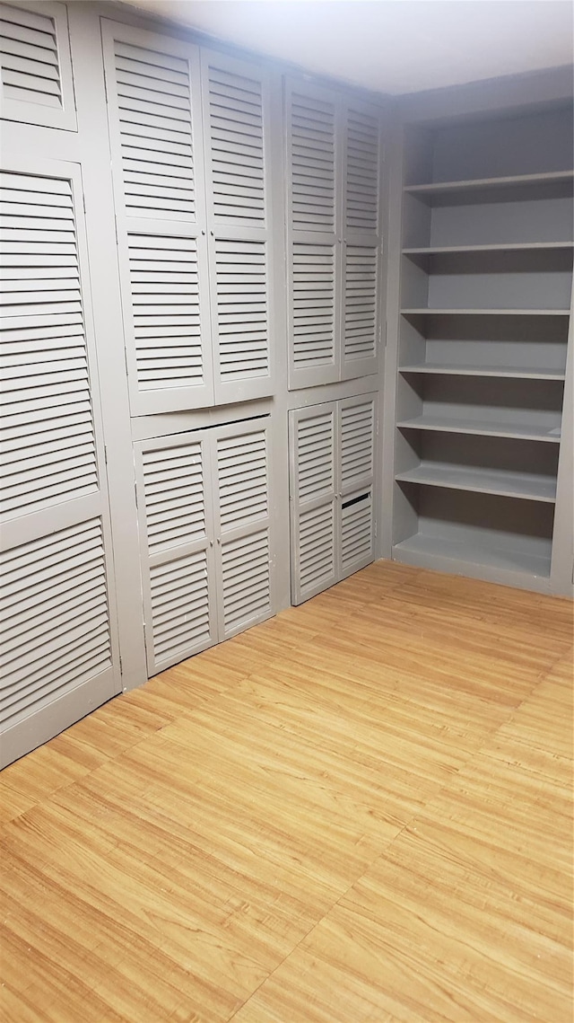 2261 Story Ave, Bronx, NY 10473 - view of closet