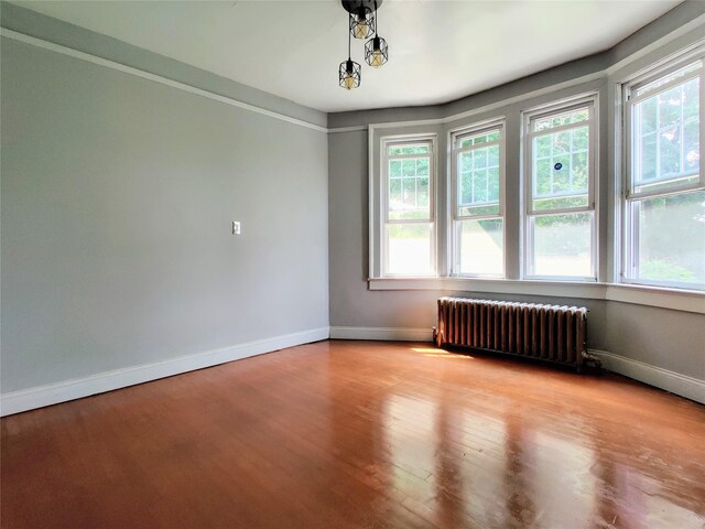 635 N Division St, Peekskill, NY 10566 - spare room featuring radiator heating unit, wood finished floors, and baseboards