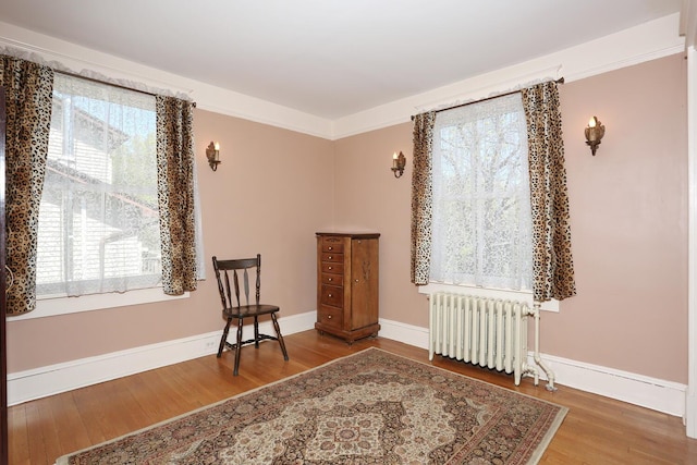 85 S Harrison Ave, Congers, NY 10920 - living area featuring baseboards, radiator heating unit, and wood finished floors