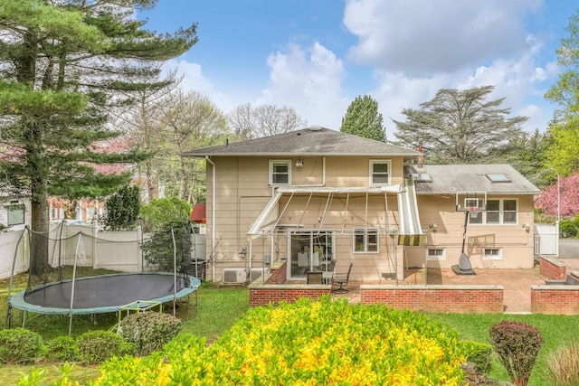 back of property with a patio, a trampoline, and a yard