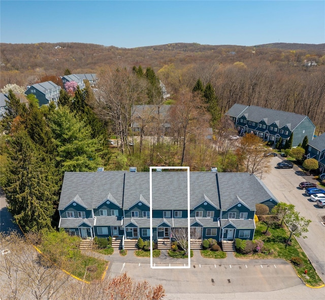 bird's eye view