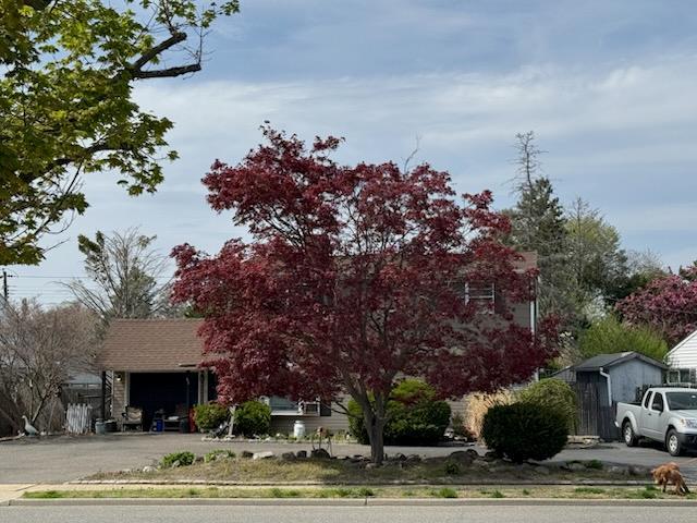 82 Scooter Ln, Hicksville, NY 11801 - photo 5