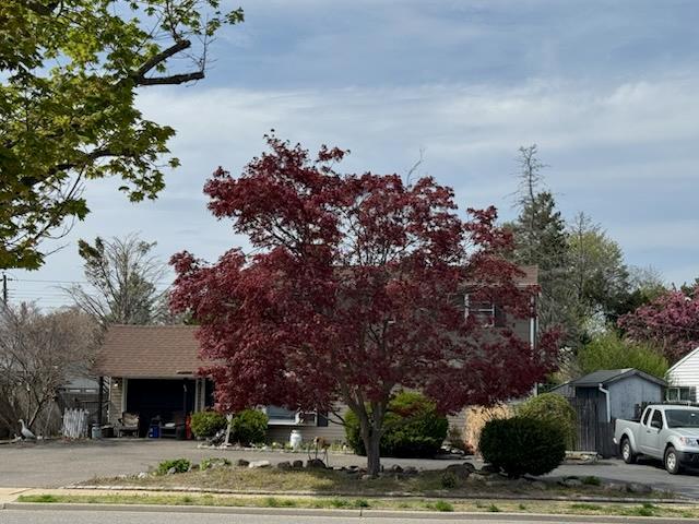82 Scooter Ln, Hicksville, NY 11801 - photo 6