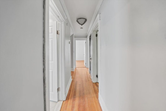 118 N Regent St, Port Chester, NY 10573 - hall featuring ornamental molding, light wood-style flooring, and baseboards