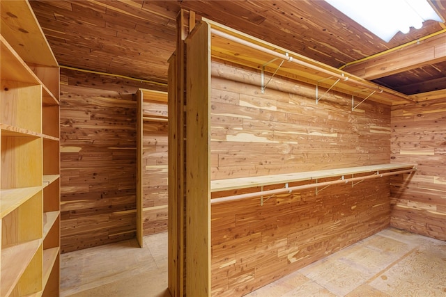 view of walk in closet