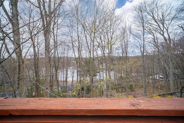 72 Kia Ora Blvd, Mahopac, NY 10541 - view of deck