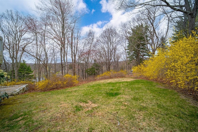 72 Kia Ora Blvd, Mahopac, NY 10541 - view of yard