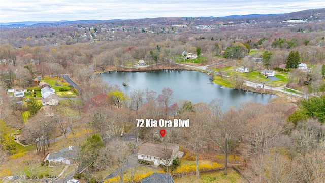 72 Kia Ora Blvd, Mahopac, NY 10541 - birds eye view of property with a view of trees and a water and mountain view