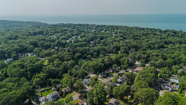 46 Satinwood Rd, Rocky Point, NY 11778 - aerial overview of property's location featuring a heavily wooded area and a large body of water