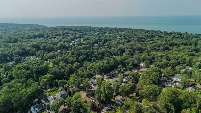 46 Satinwood Rd, Rocky Point, NY 11778 - aerial overview of property's location with a forest and a nearby body of water