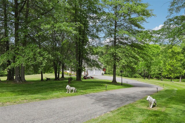 20 Trudy Dr, Campbell Hall, NY 10916 - photo 35